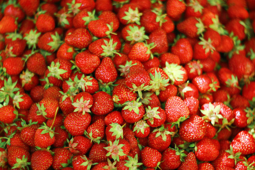 726493 (a): :2000x1333